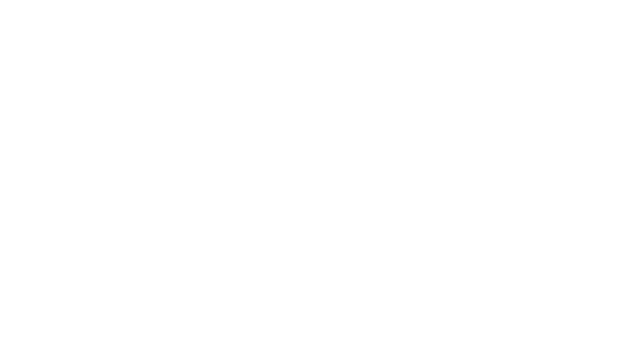 Helko Werk